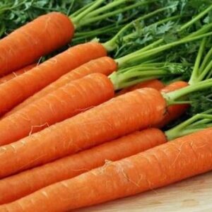 Морковь: особенности выбора семян, посадки и ухода за культурой