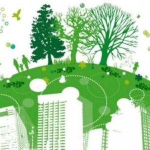  ТОП 10 советов, как сберечь экологию своей страны  