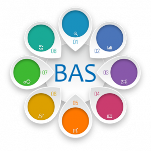 Важность грамотного информационно-технического сопровождения программных продуктов BAS