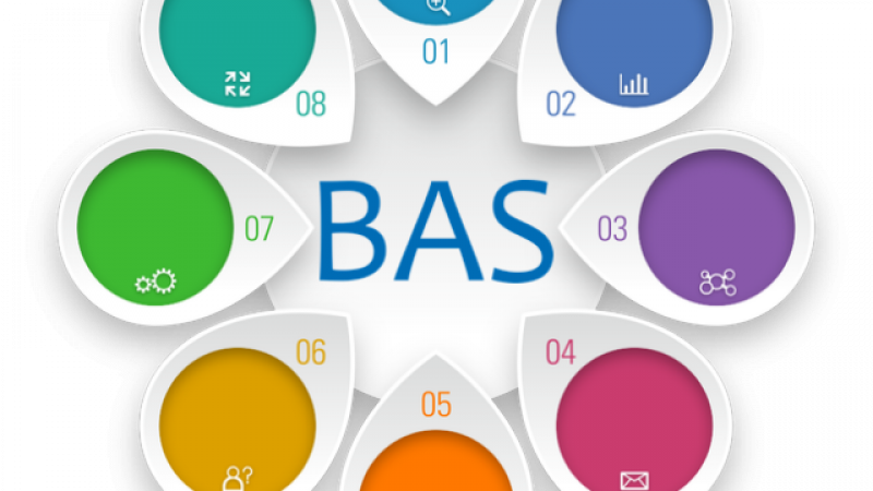 Важность грамотного информационно-технического сопровождения программных продуктов BAS