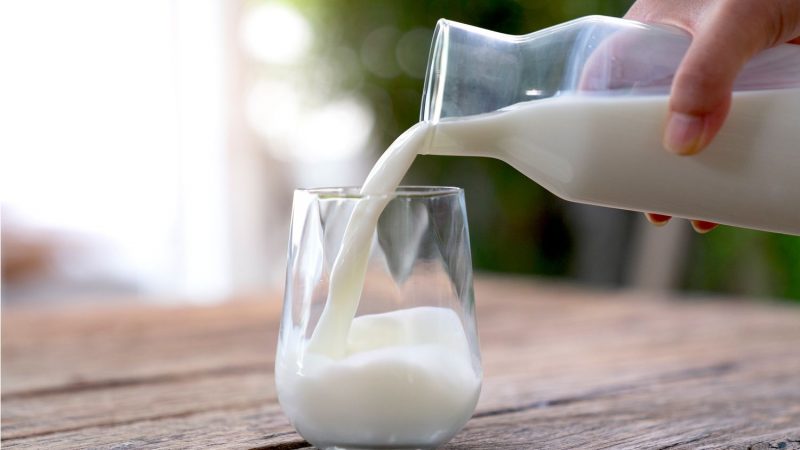 Користь молочних продуктів для здоров'я: чому вони важливі у раціоні кожної людини