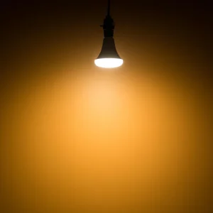 Роль використання надійного ДБЖ в умовах відключення світла