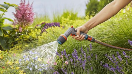 Найефективніший спосіб поливу для вашого саду